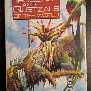 Trogons and Quetzals of the World