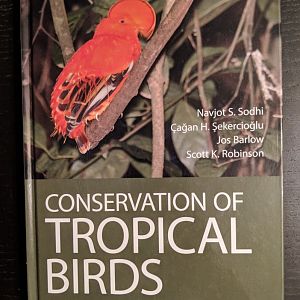 Conservation of Tropical Birds