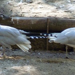 "We don't talk anymore"