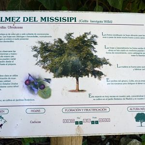 Elaborated and very good botanical signage