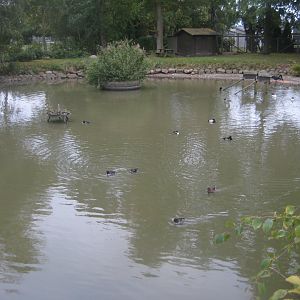 Otterup Andedam - Main pond