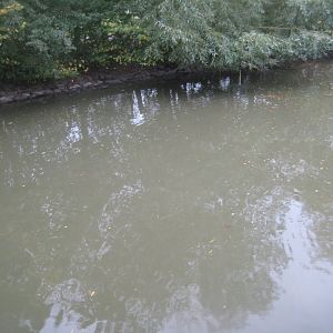 Otterup Andedam - Main pond