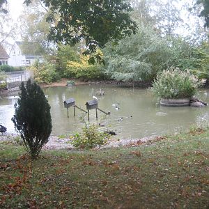 Otterup Andedam - Main pond