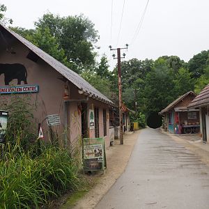 Asian section theming - Kerala Village, 2020-07-14