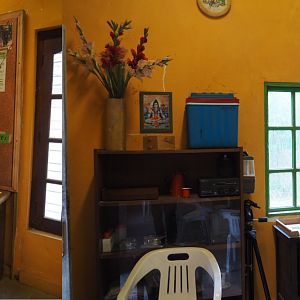 Asian section theming - Kerala Village, Inside the Kerala Conservation Center, 2020-07-14