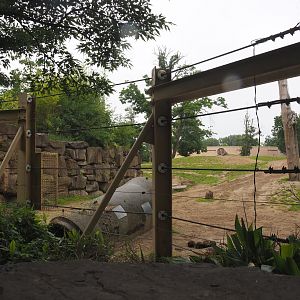 Asian elephant enrichment feeding area and Asian elephant paddock, 2020-07-14