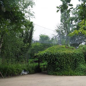 Snow leopard exhibit and viewing area, 2020-07-14