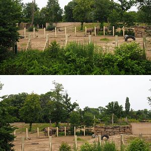 Asian elephant paddocks seen from the second viewing lodge, 2020-07-14