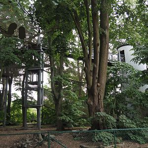 Tree top walk structures, 2020-07-14