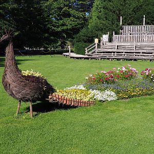 Wicker peacock flower bed with seasonal planting, 2020-07-21