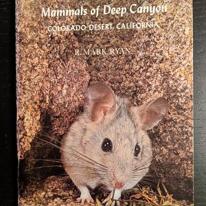 Mammals of Deep Canyon Colorado Desert, California