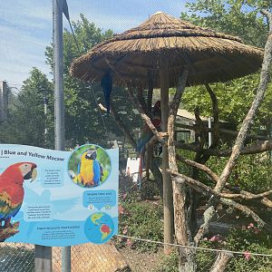 Macaw exhibit