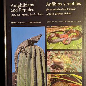 Amphibians and Reptiles of US-Mexico Border States