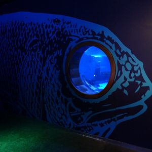 Eyefish viewing glass (Sevilla aquarium)