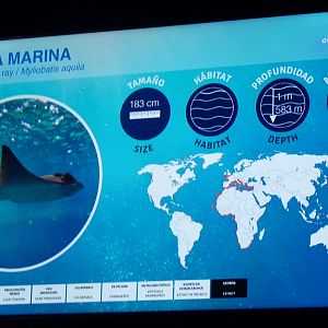 Signage example (Sevilla aquarium)