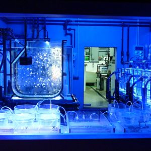 Jellyfish breeding room (Sevilla aquarium)