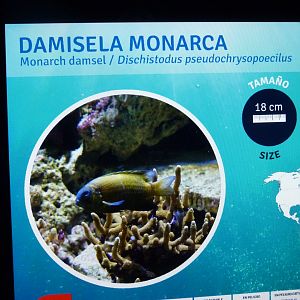 Signage for the fish in next photo