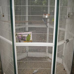Otterup Andedam - Parrot cage