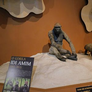 Idi, the gorilla taxidermy - Museum of PUC Minas - Brazil