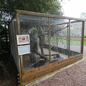 Fischer's Lovebird enclosure