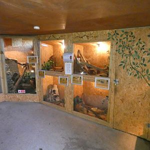 Reptile house