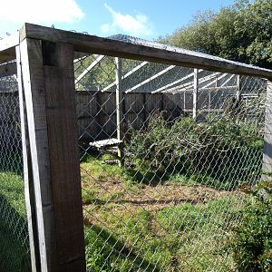 African Civet enclosure
