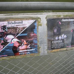 Otterup Andedam - Signage example