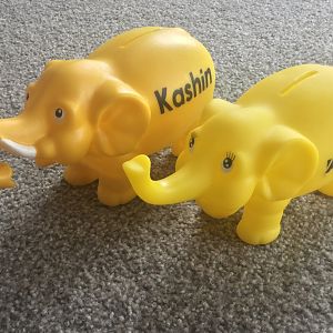 Auckland Zoo - Kashin the Elephant Money Box