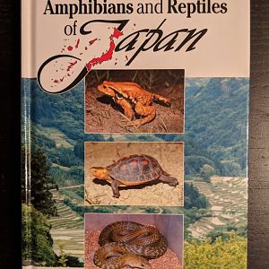 Amphibians and Reptiles of Japan