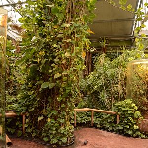 Madagascar house - walkthrough