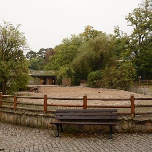 Mountain Zebra enclosure