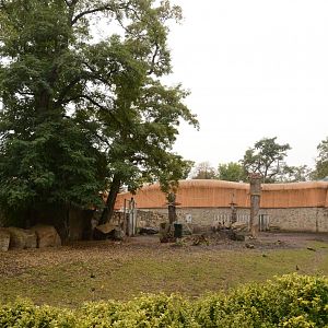 Pileated Gibbon & smaller Indian Rhino enclosure