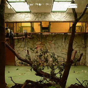 Typical monkey indoor enclosure
