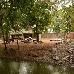 Golden Takin enclosure