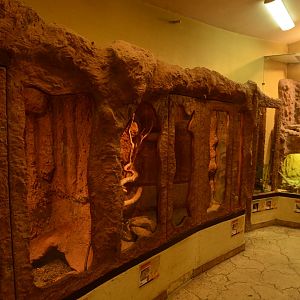 Desert house - Small mammal enclosures