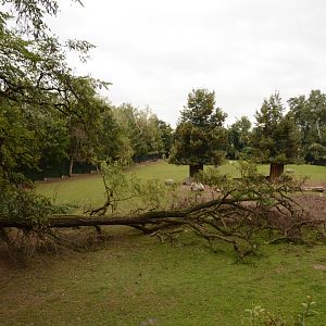 Defassa Waterbuck & Sitatunga paddock