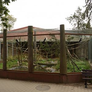 Crowned Lemur enclosure