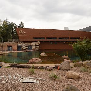 S-African Fur Seal enclosure
