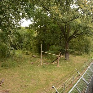 European Brown Bear enclosure