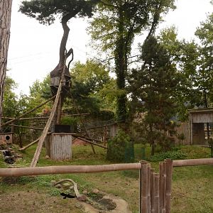 Red Panda & Tufted Deer enclosure