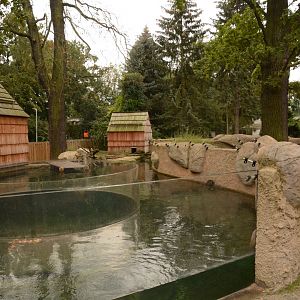 European Otter enclosure