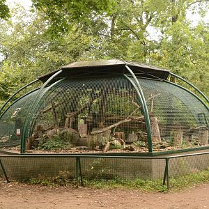 Kea aviary