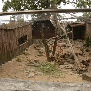 Arctic Hare enclosure