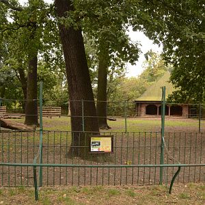 Pere David's Deer paddock