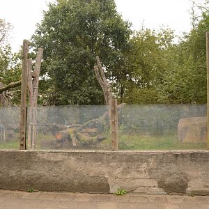 Chimpanzee outdoor enclosure