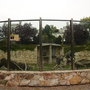 Sulawesi Crested Macaque enclosure