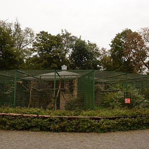 Primate cages