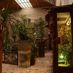 Reptile house - general view