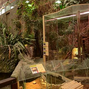 Reptile house - Turtle enclosures