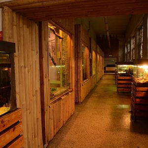 Reptile house - and more tanks
